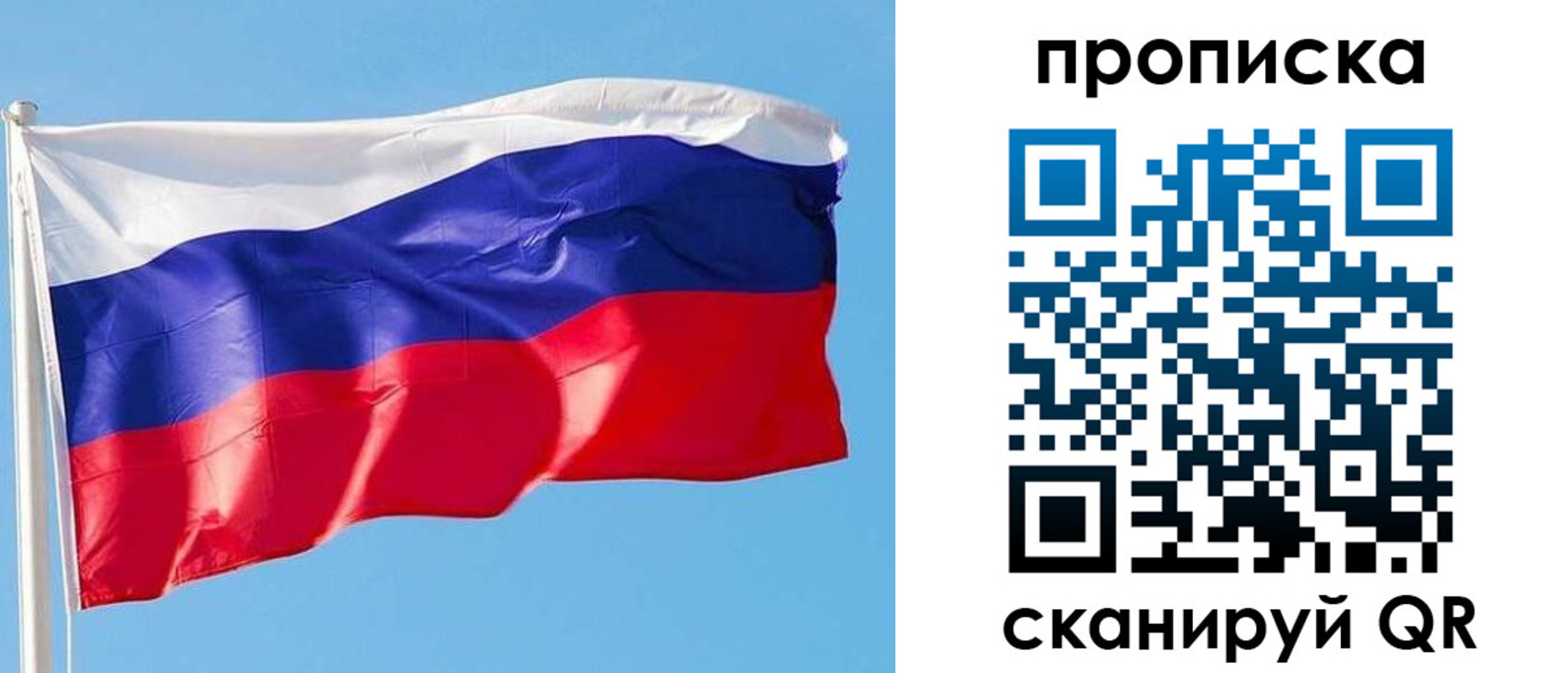 прописка поиск в Бердске